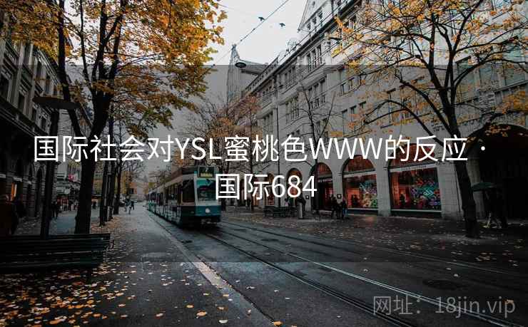 国际社会对YSL蜜桃色WWW的反应 · 国际684