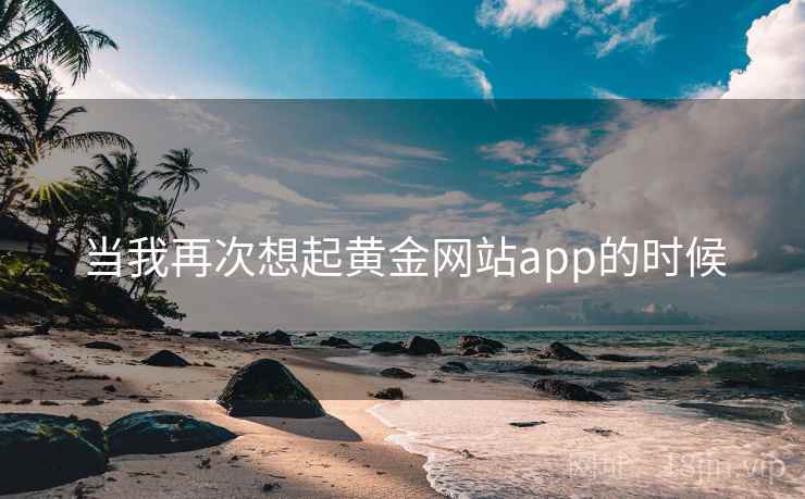 当我再次想起黄金网站app的时候