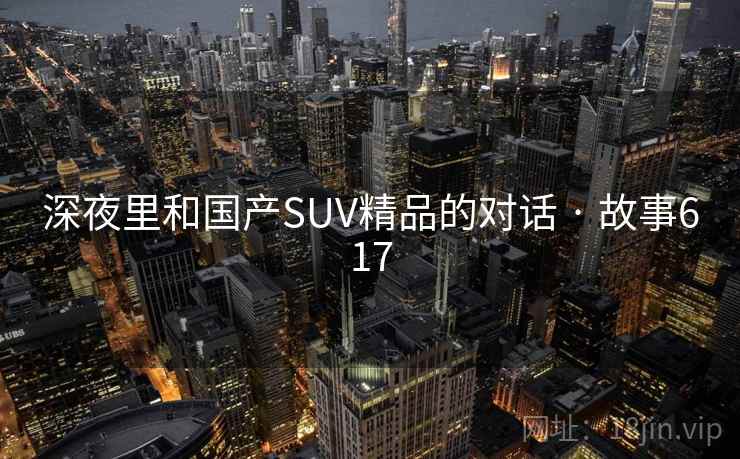 深夜里和国产SUV精品的对话 · 故事617