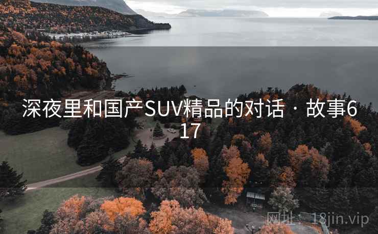 深夜里和国产SUV精品的对话 · 故事617 深夜里和国产SUV精品的对话 · 故事617